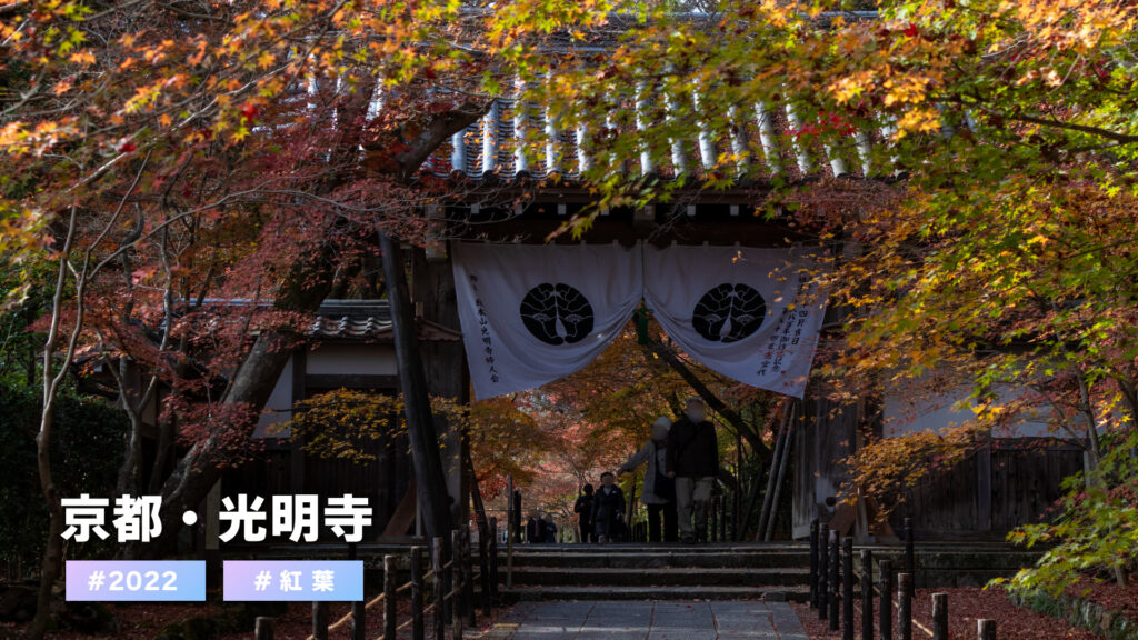 2022・紅葉　京都の光明寺へ行ってきました