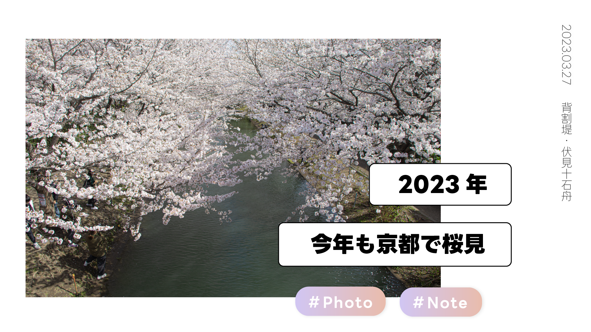 【2023年】桜を見てまいりました 背割堤・伏見十石舟