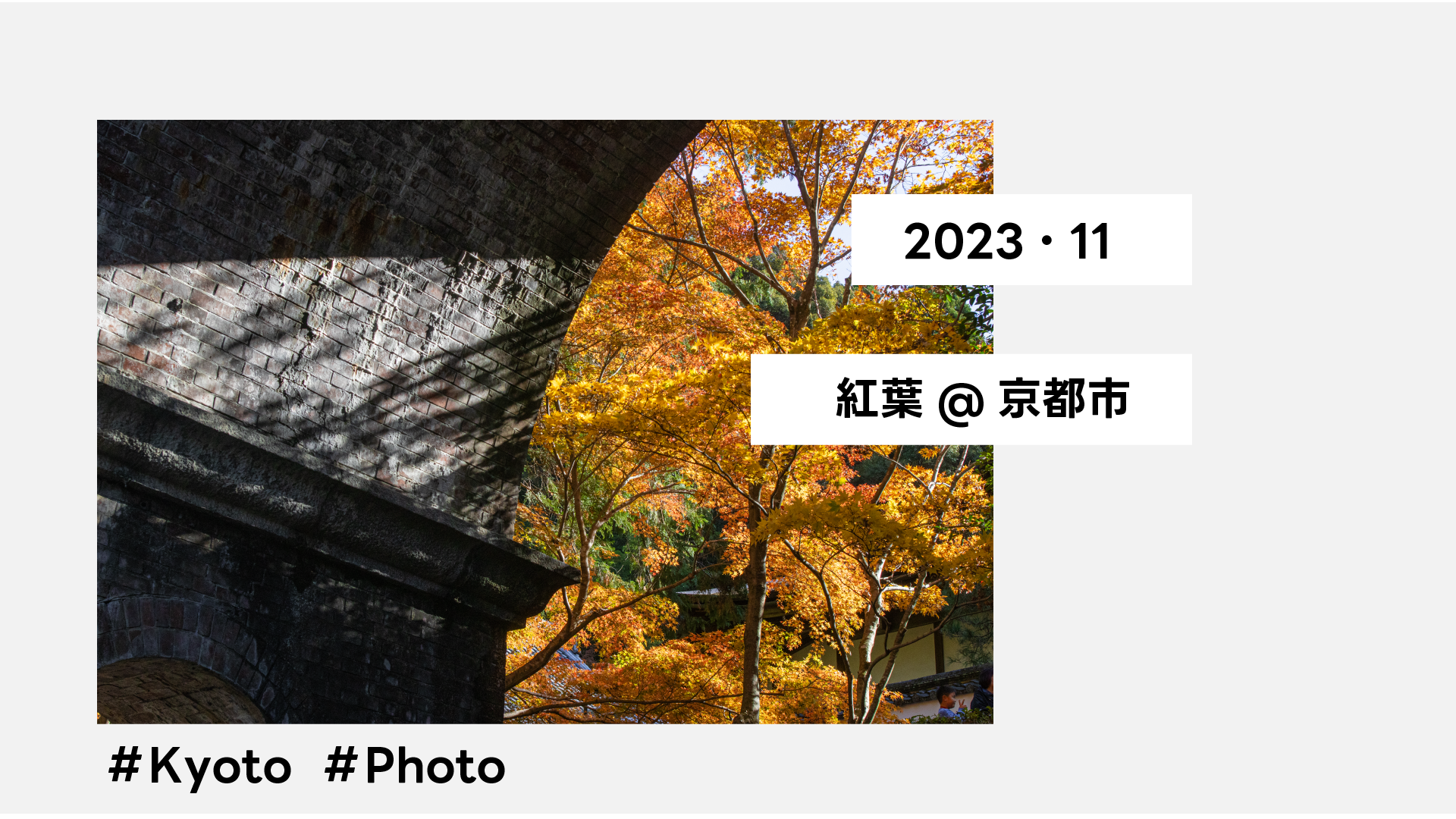 【2023年】紅葉を見に行ってきました @東福寺・南禅寺周辺