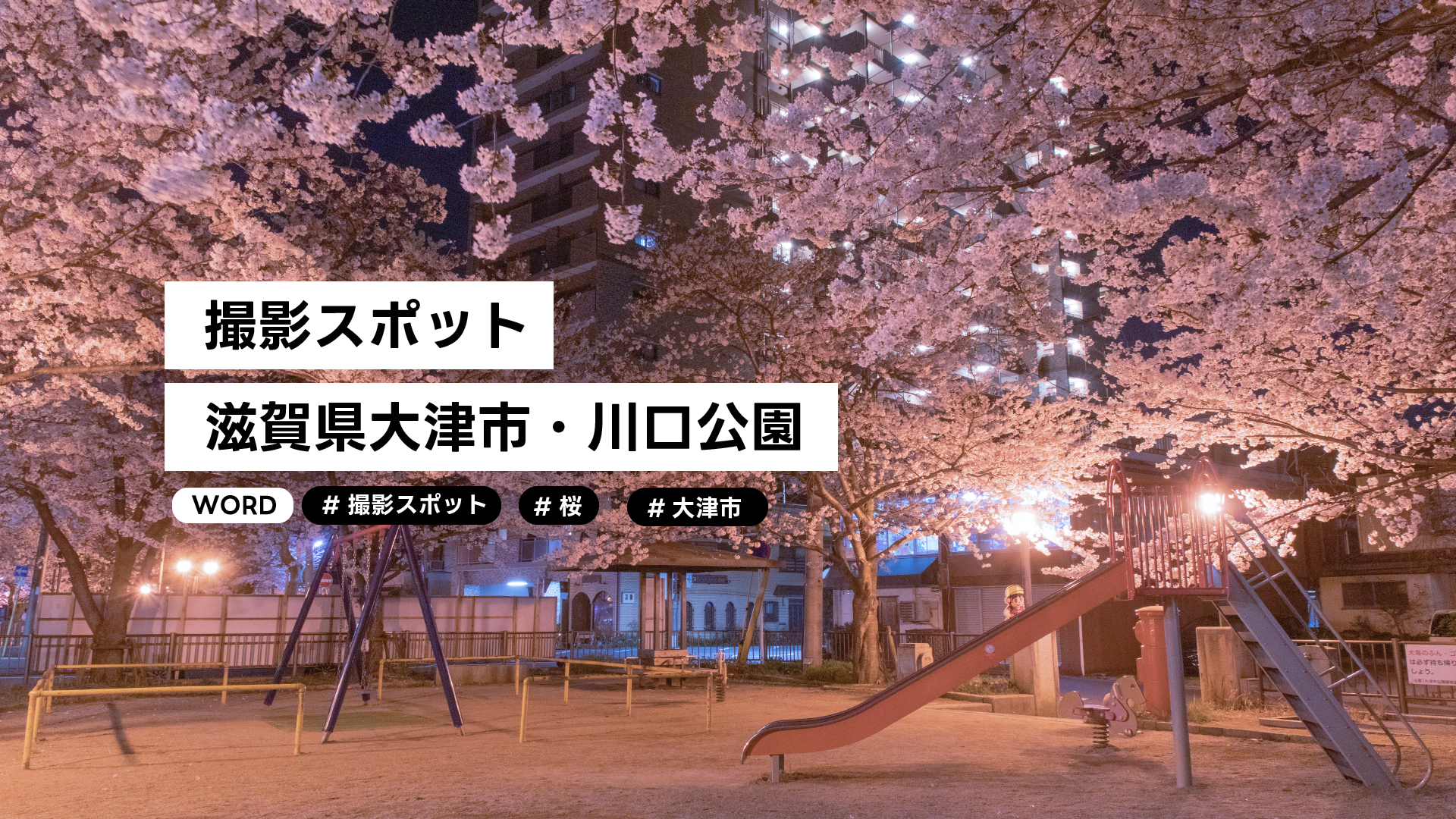 【桜撮影スポット】滋賀・大津市　川口公園